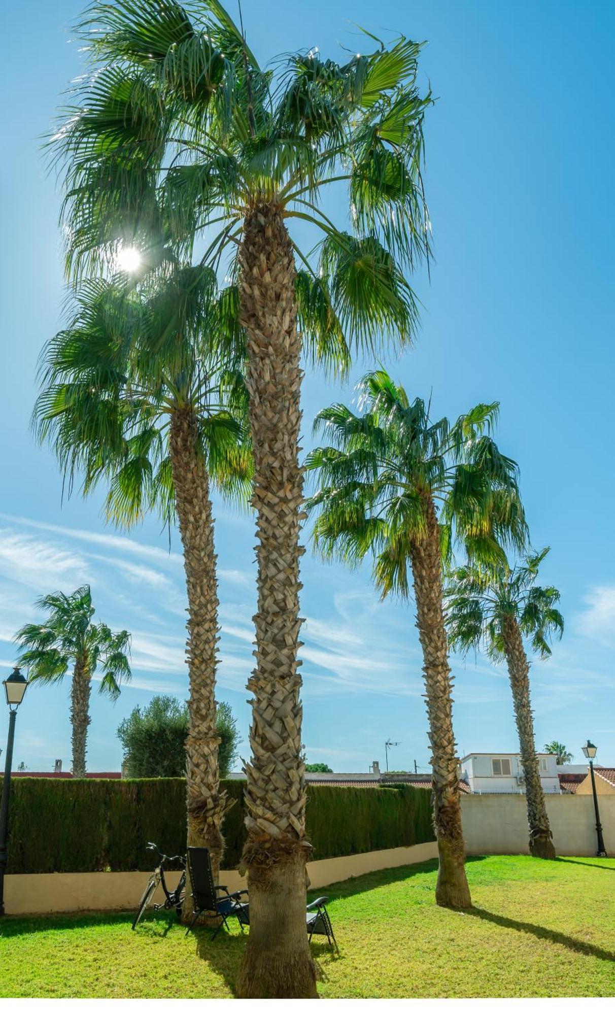 Club Salino Hideaway-Your Peaceful Retreat With Pool In Torrevieja Buitenkant foto